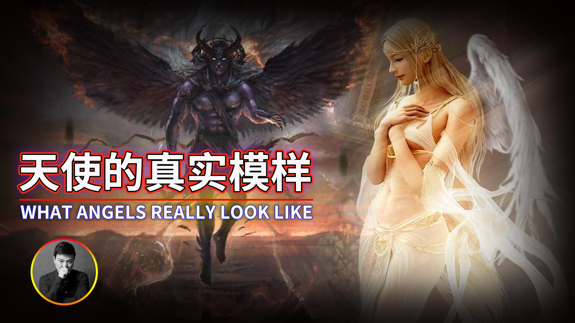 你想象中的天使是什么样的? - 知乎