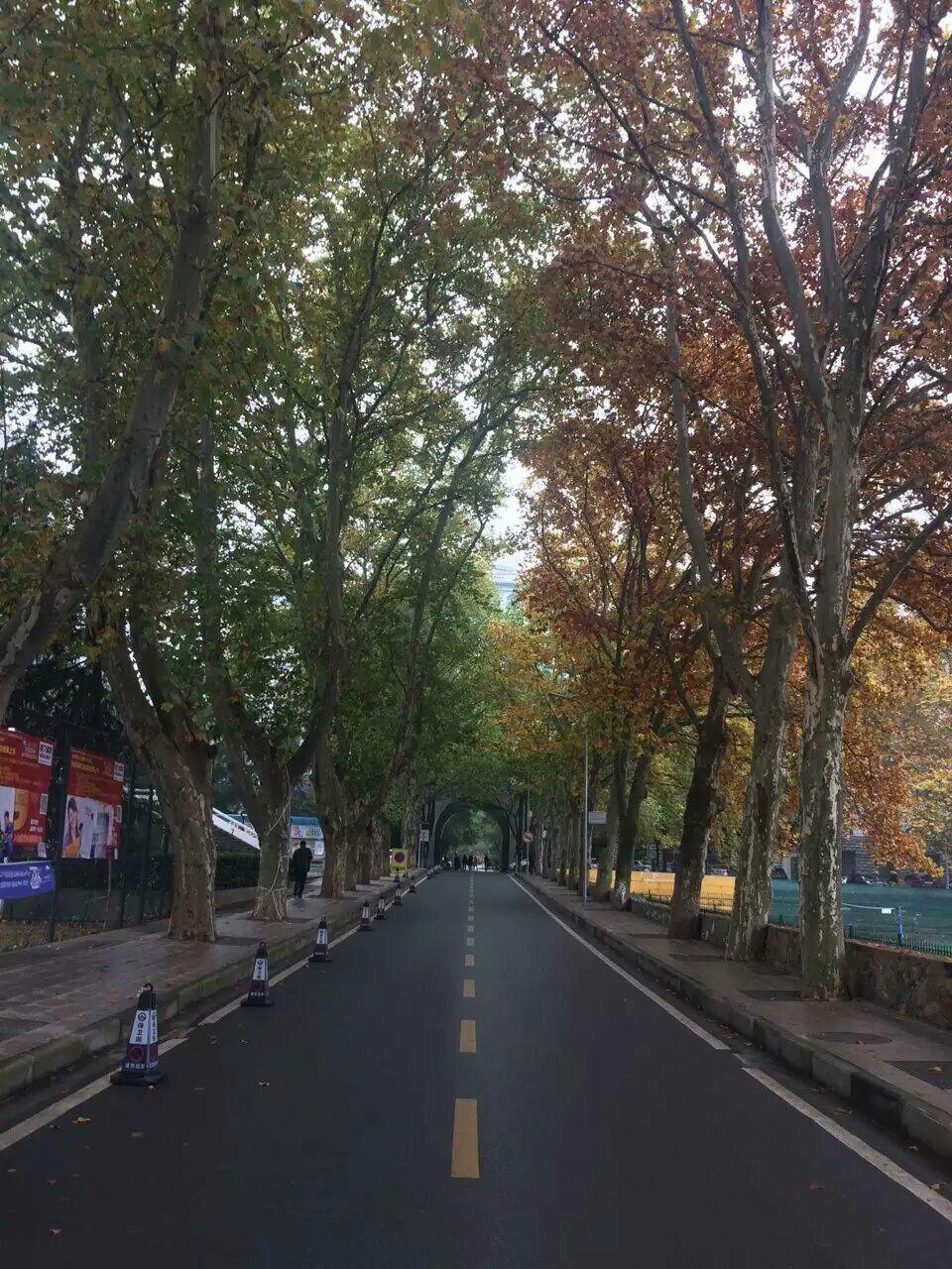 上大学后悔了怎么办? - 小师弟的绿豆汤的回答