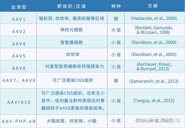 rAAV转导中枢神经系统的应用—云舟生物 - 知乎