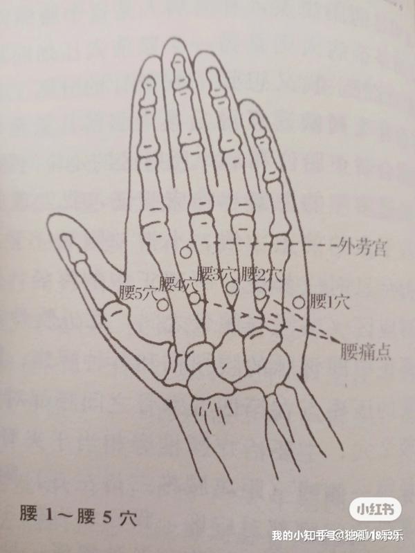 急性腰痛针灸治疗 - 知乎