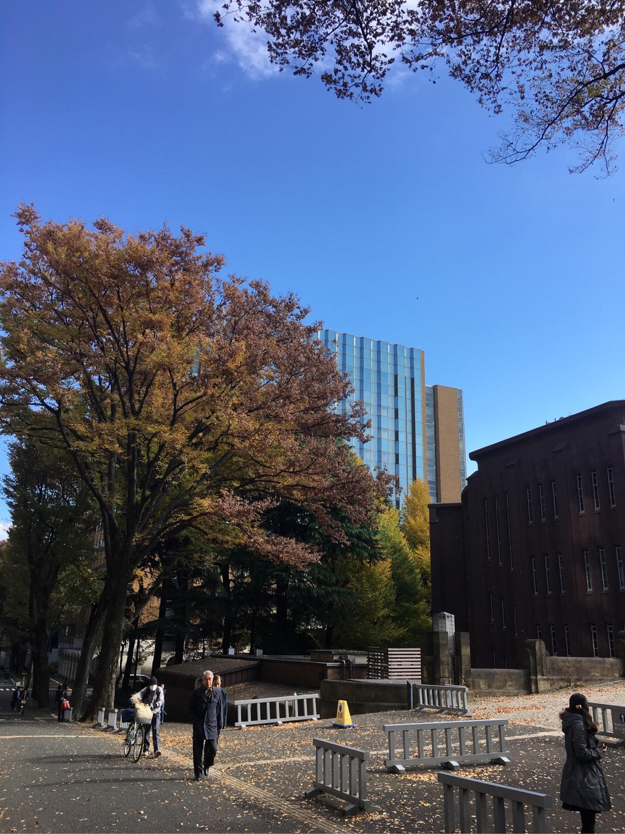 东京大学情报理工学博士申请问题