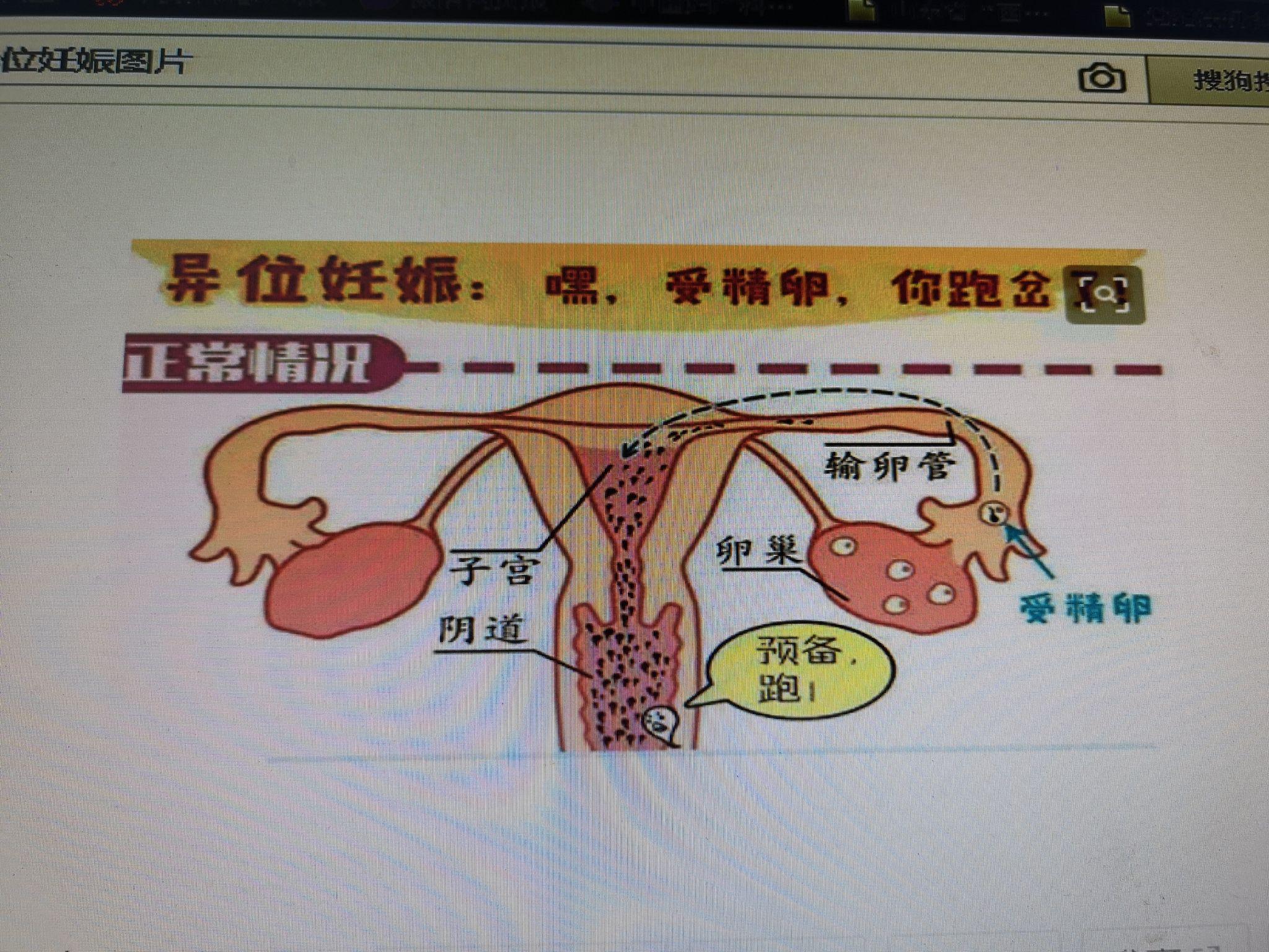 从备孕到早孕,这些常识你一定要懂 下一篇:受孕早期的尴尬事 - 知乎