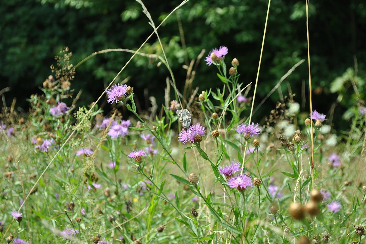 3. 仿真草坪施工