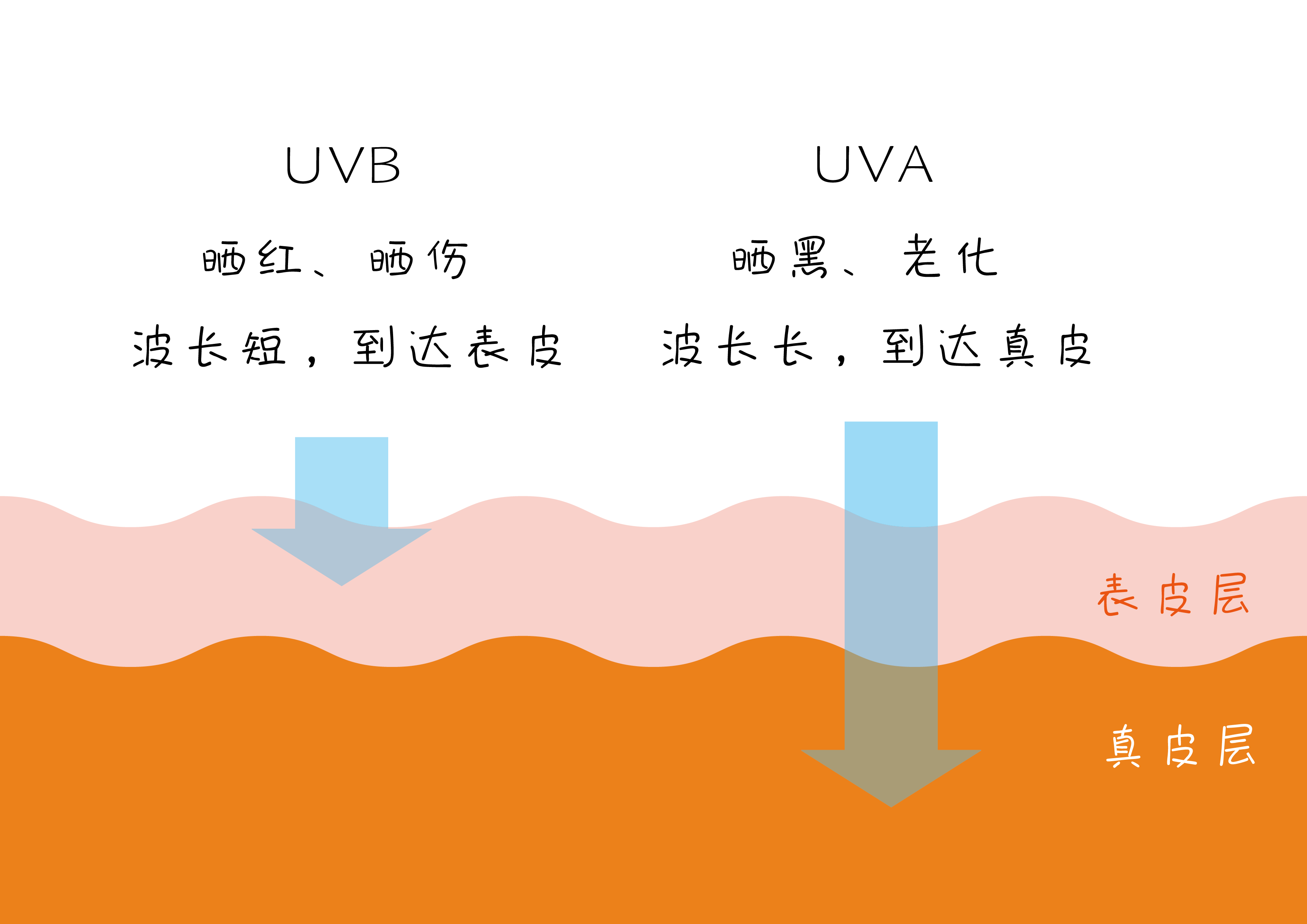 v2-161e4a77a2947dd4ee1a3302f06650f0_r.jpg