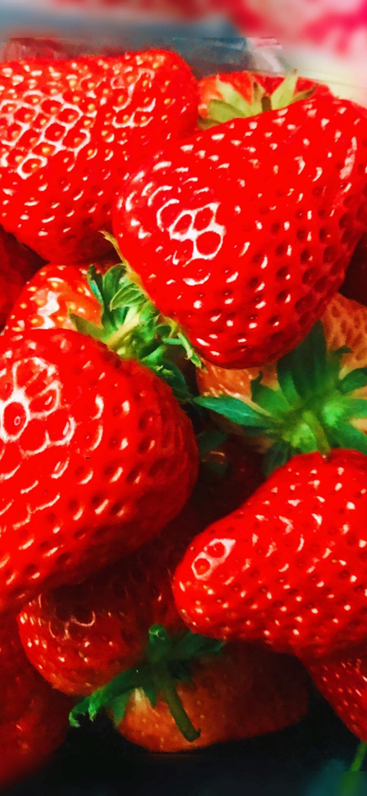 草莓微信背景图图片