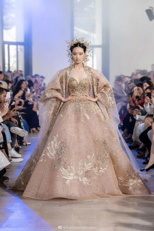 请问刘亦菲花木兰首映礼的eliesaab凤凰裙属于什么级别的