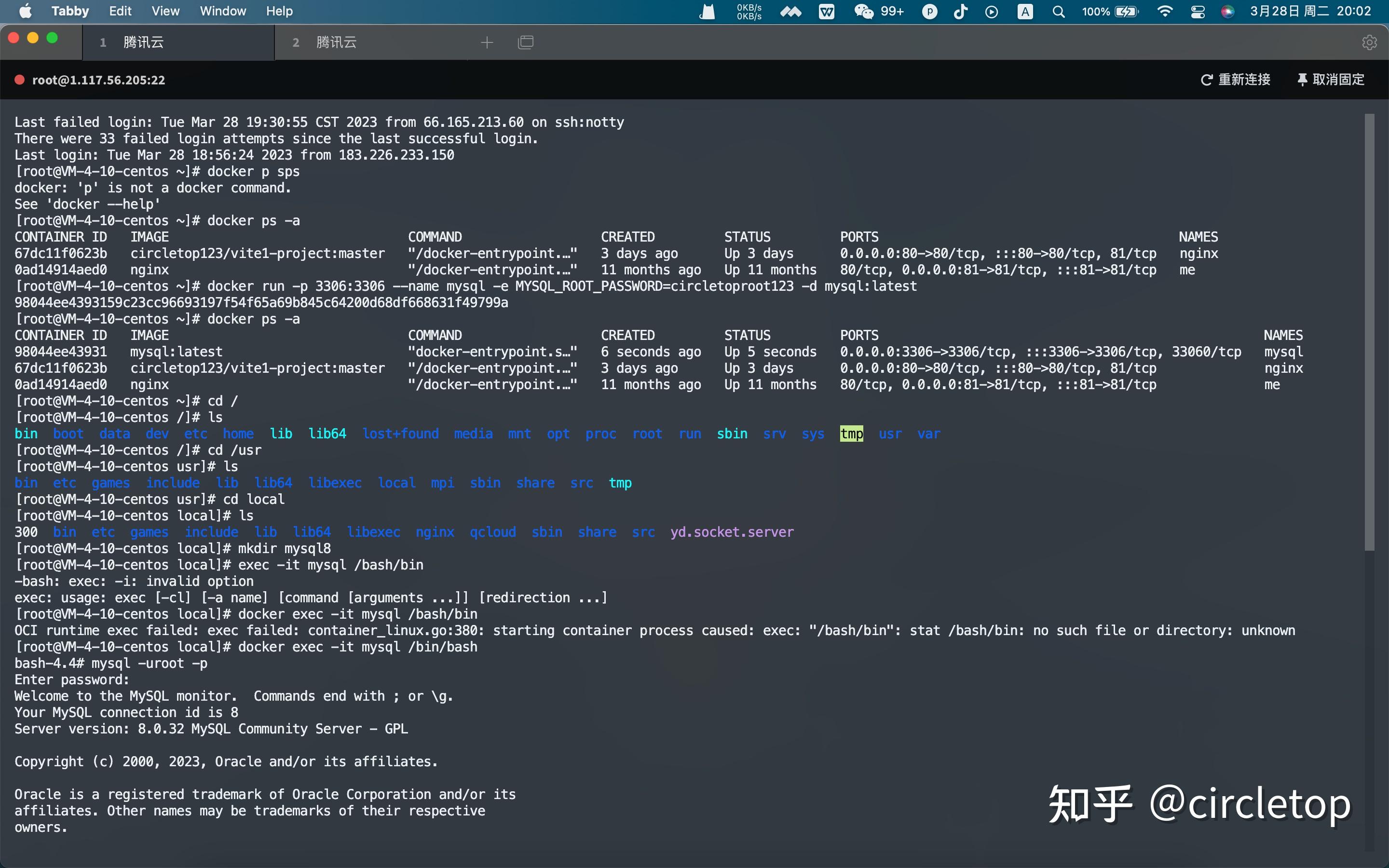 Docker mysql 
