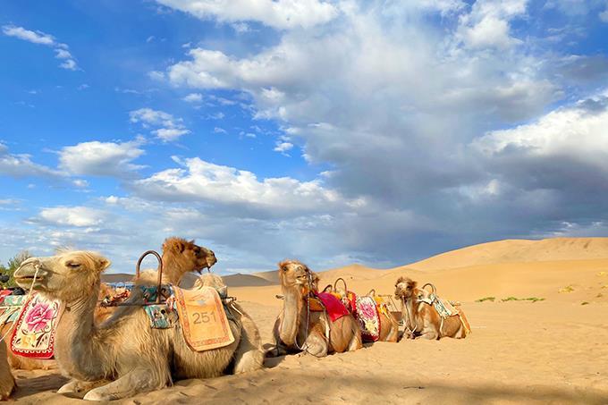 v2-16445cbc53ab1bf4870ccd0e5c46eb87_1440w.jpg?source=172ae18b