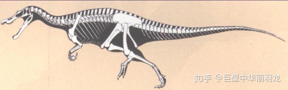 重爪龙跟镰刀龙有什么区别吗? - 知乎