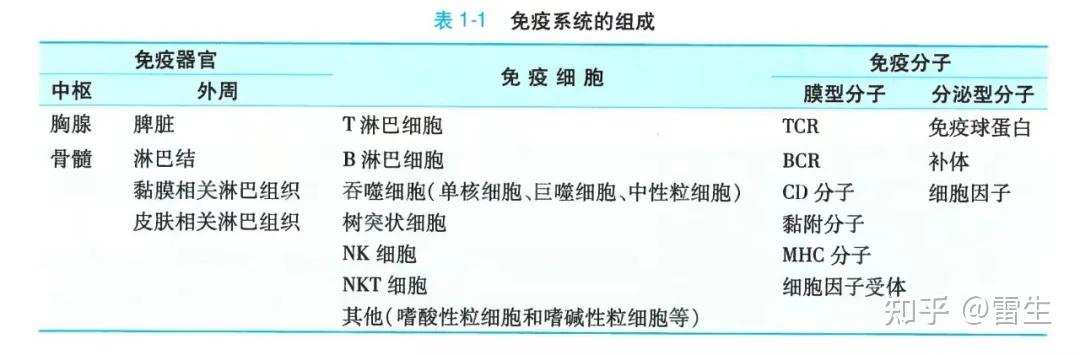 免疫系統根據發生的時間順序和功能差異,可分為中樞免疫器官和外周