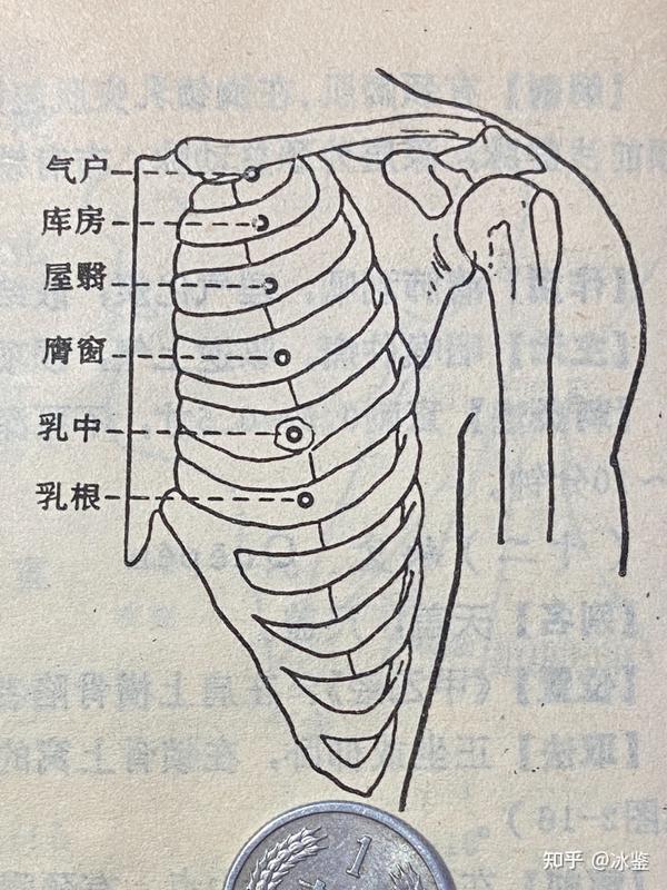 玉虚玄学风水课程,玉虚玄针十四经经穴,足阳明胃经经穴! - 知乎