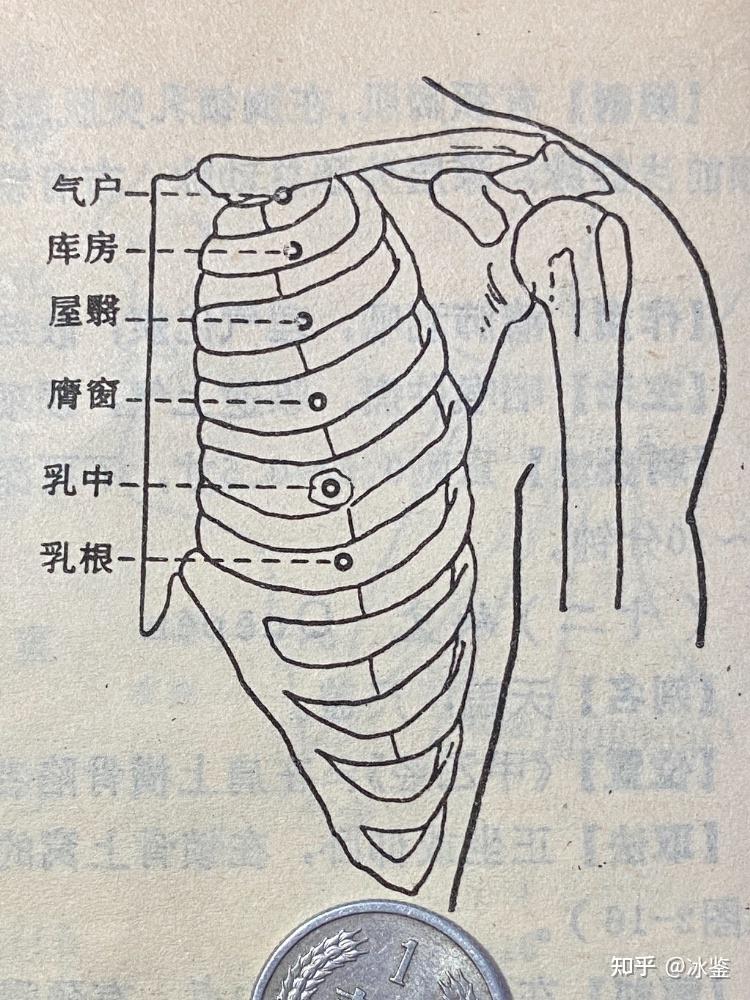 缺盆准确位置图片图片