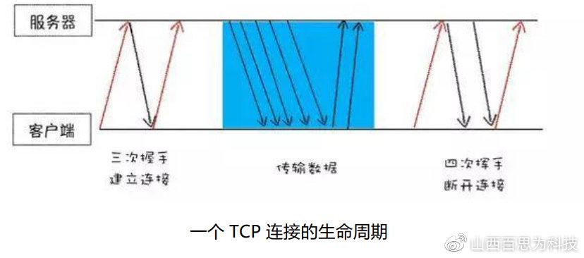 详解IP、TCP和UDP之间的关系 - 知乎