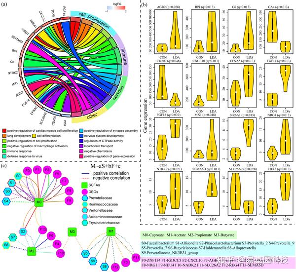易基因：多组学关联分析及组学分子实验验证方法（表观组+转录组+微生物组）｜干货系列 - 知乎