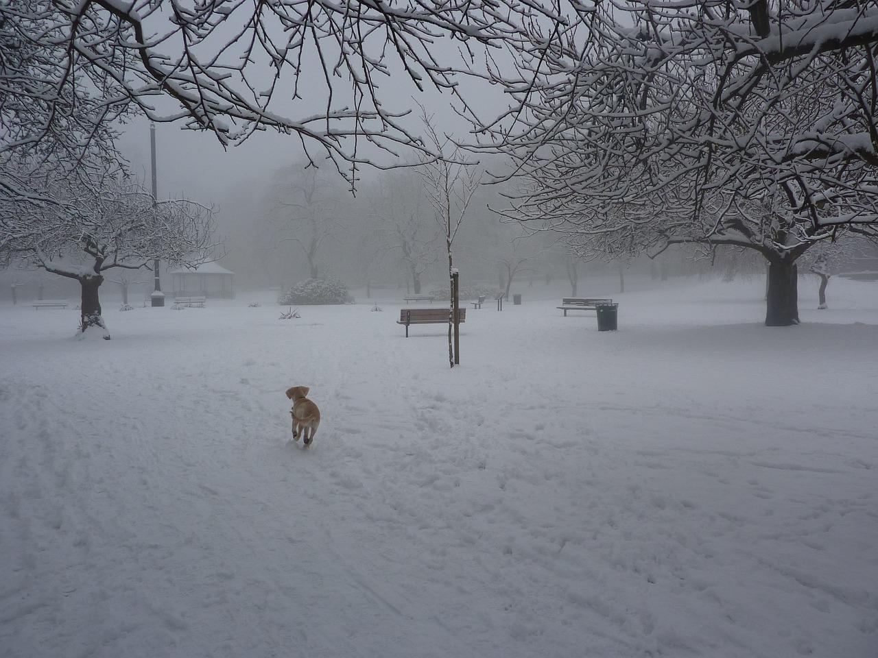 给暖气打压多少压