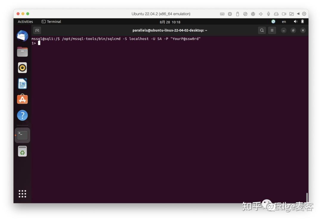  pd19 ubuntu 22 04 x86 64 emulation ms sql server for linux 