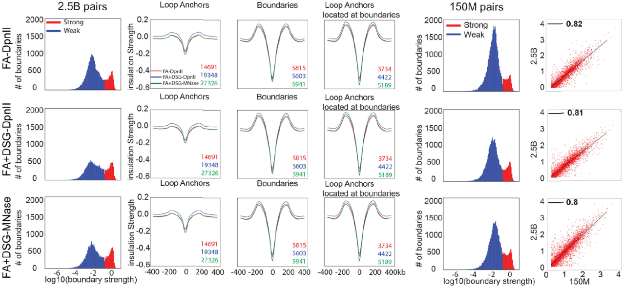 重磅升级丨Hi-C技术发明人Job Dekker发布高精度Hi-C 3.0技术 - 知乎