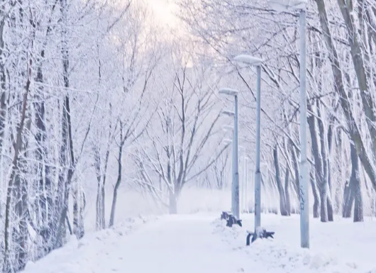 初冬.寒雪 - 知乎
