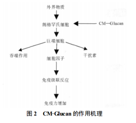 羧甲基茯苓多糖图片