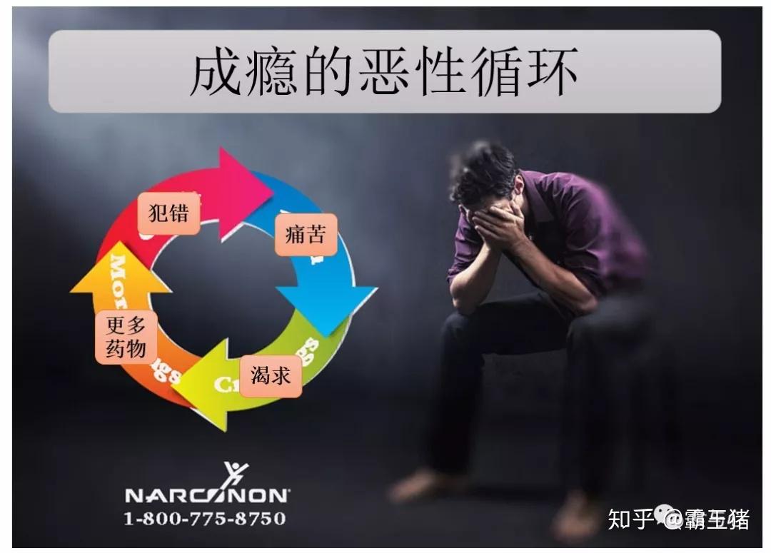 心理疾病与胃肠道十物质成瘾与肠道微生物