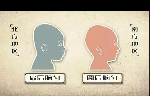 圆头扁头头型影响脑发育