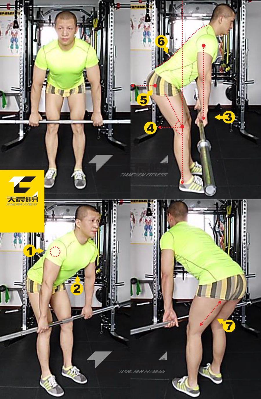 原创 | 直腿硬拉——腿部腘绳肌群(股二头肌)训练技术动作解析