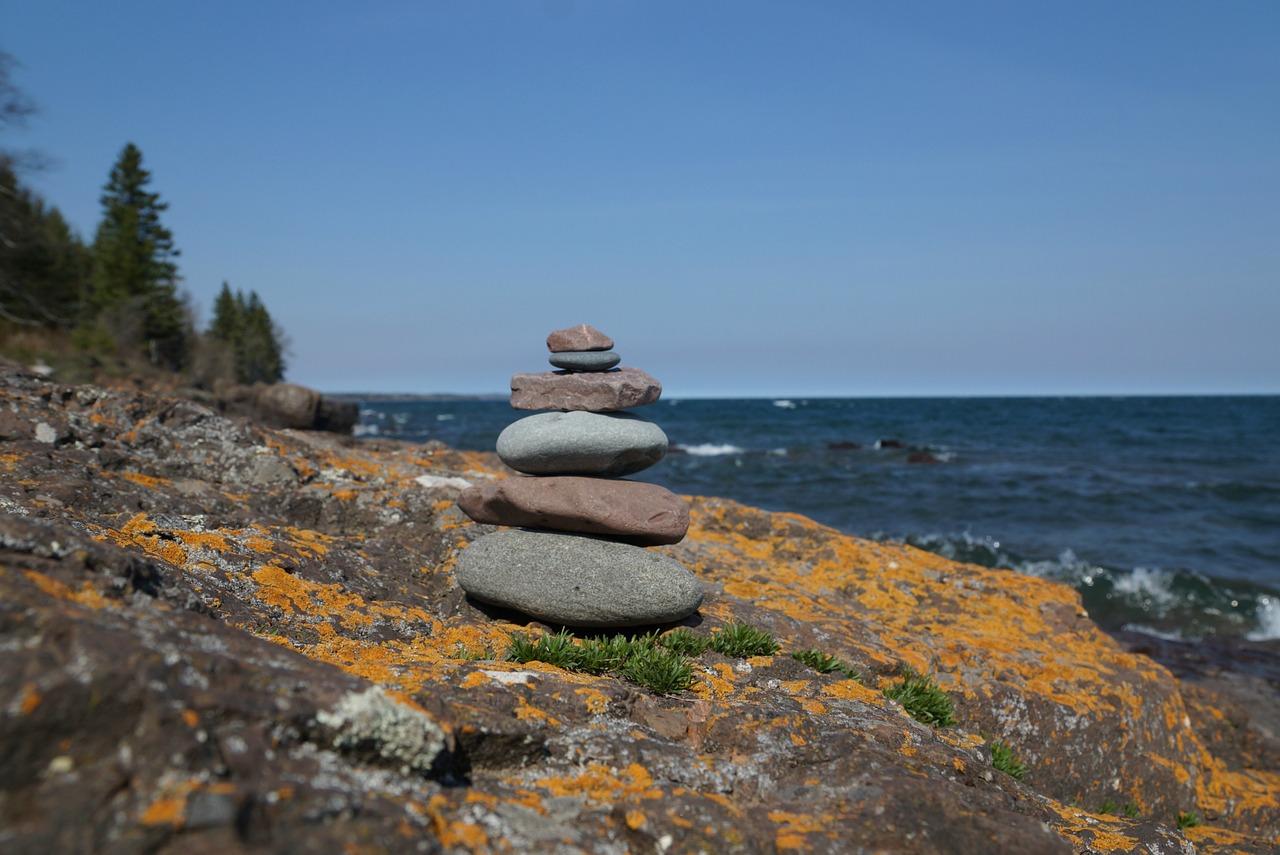 3. 刺柏造型设计