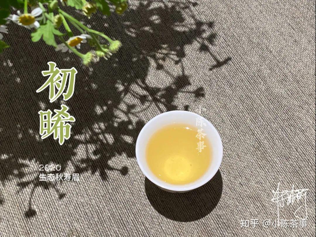 什么时候才开始有老白茶饼的 v2-16c78d62725d7b1ba983fb0a23968a18_r.jpg