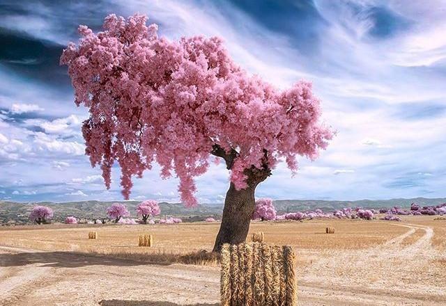 可以发朋友圈的哲理说说,每日一读,豁达一生!