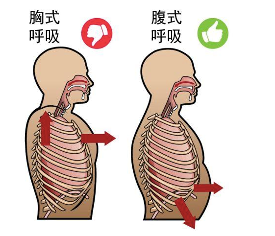 这么练呼吸 提升你的运动表现 知乎