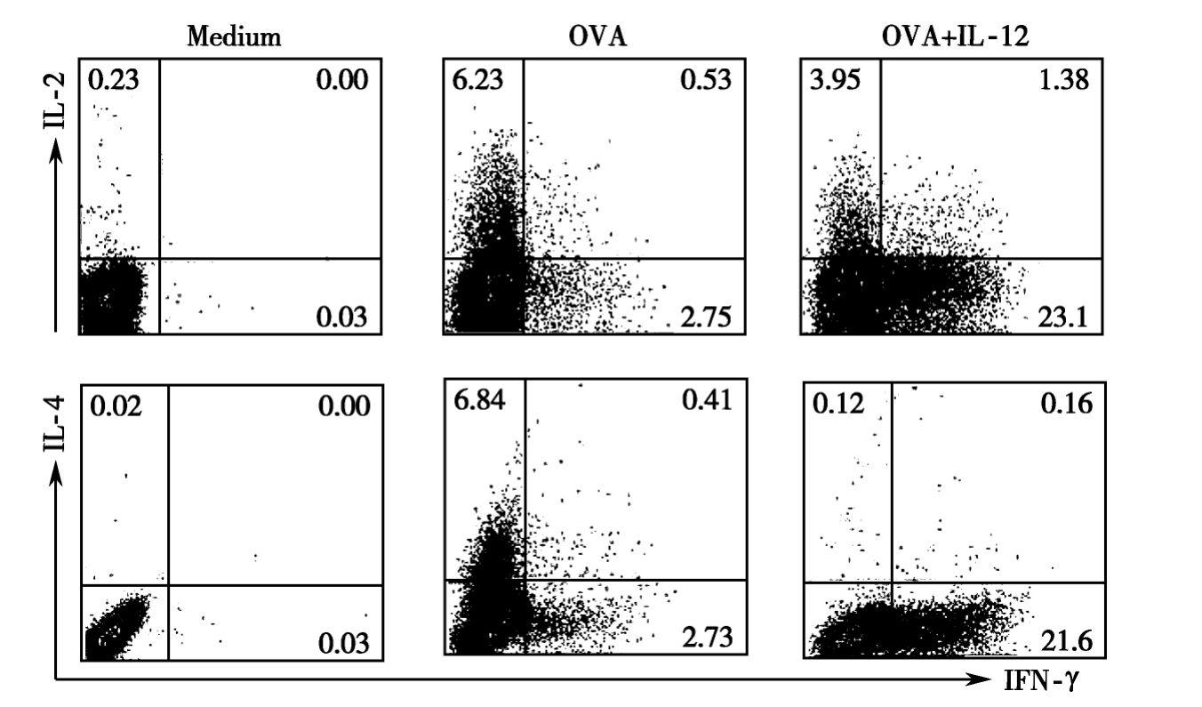 流式細胞術對th1和th2細胞數量及功能的分析