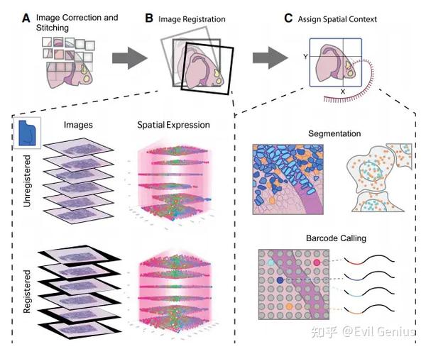 10x空间转录组重点分析合集3 知乎