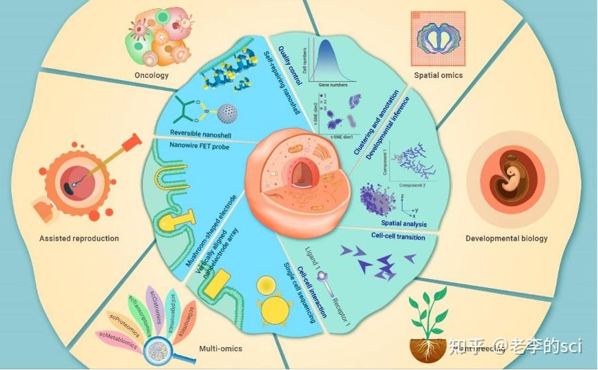 Cell子刊|湖南大学发布单细胞测序数据工具箱——autoCell - 知乎