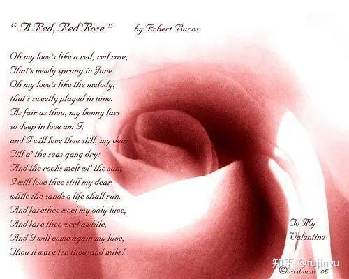 金宇英语教室英文诗赏析一朵红红的玫瑰aredredrose