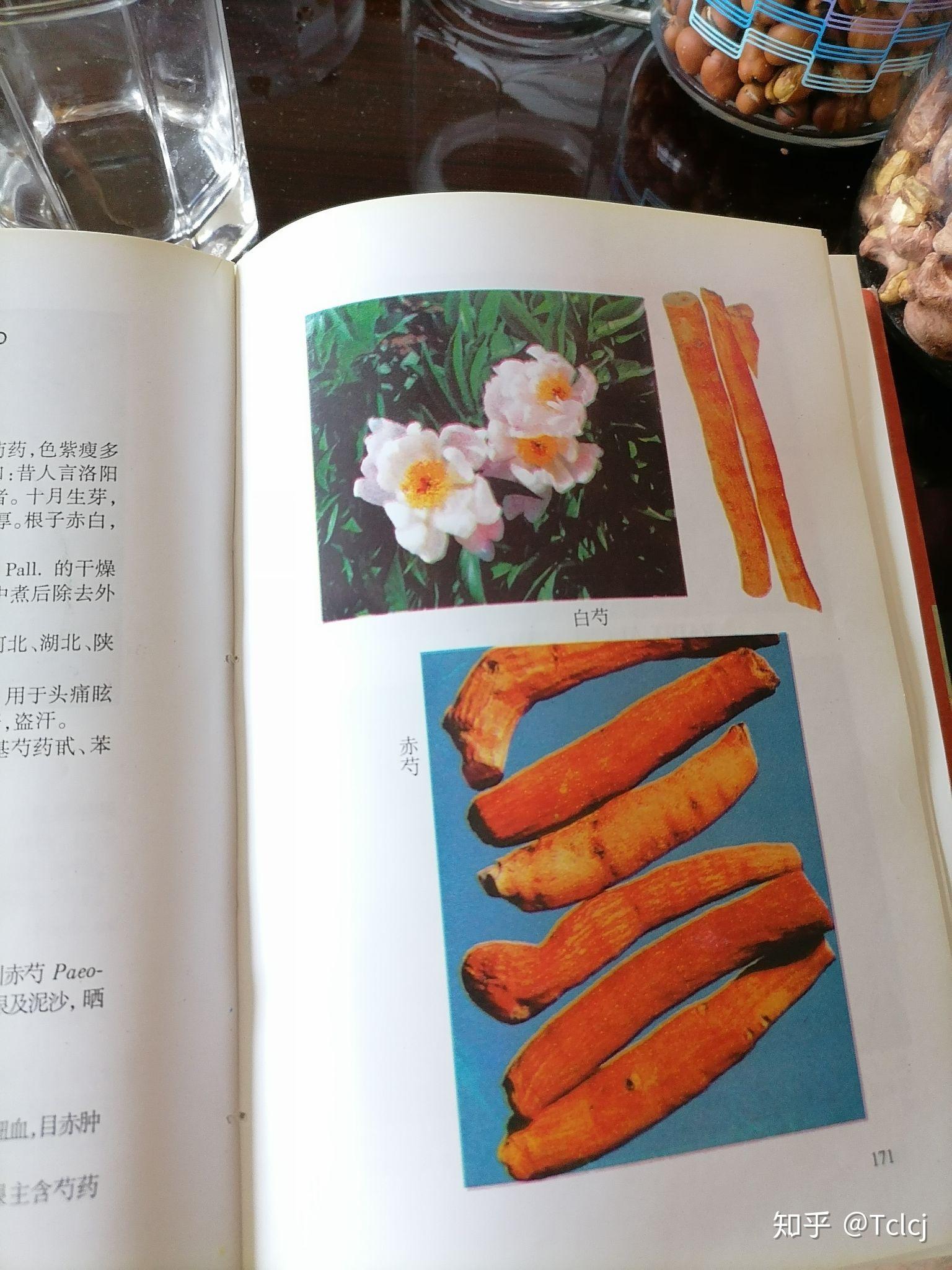 芍药怎么吃? - 知乎