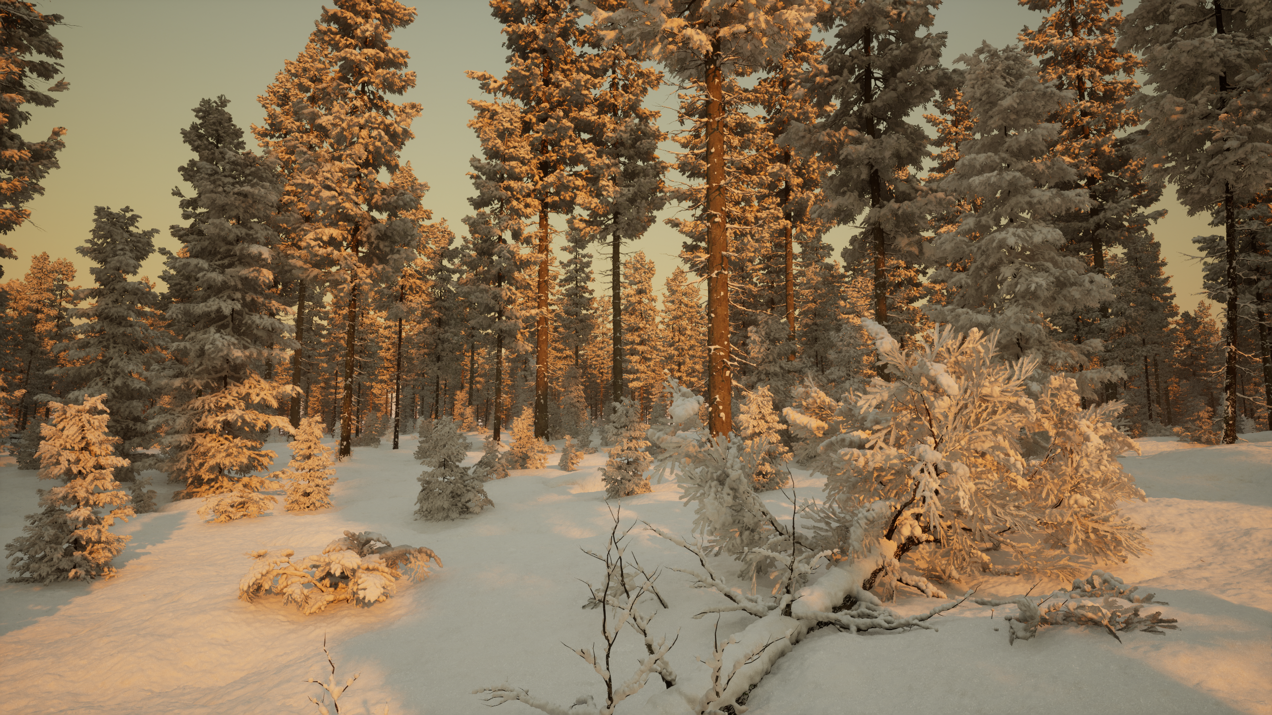 [官方直播预告] 第45期 | ue5 nanite森林雪景制作经验分享