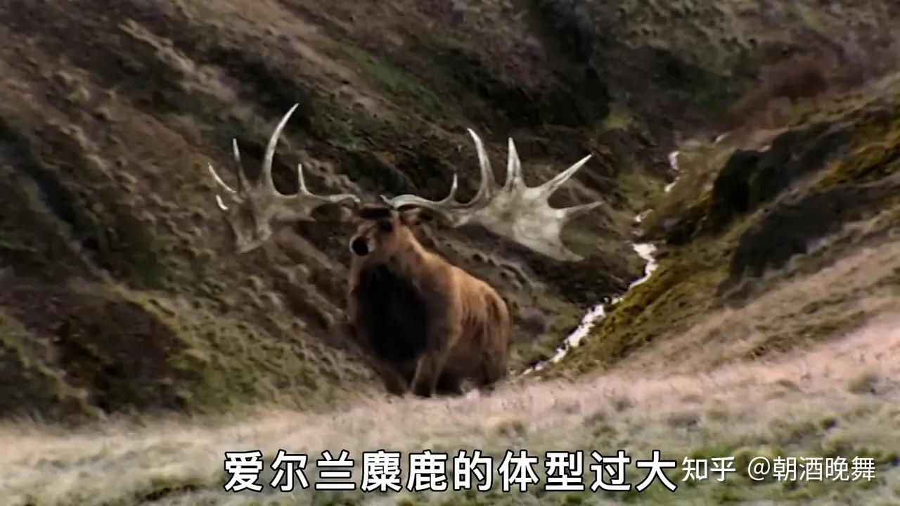 转了一圈又找上中国，想用稀土换技术，马来西亚想的太简单了 - 知乎