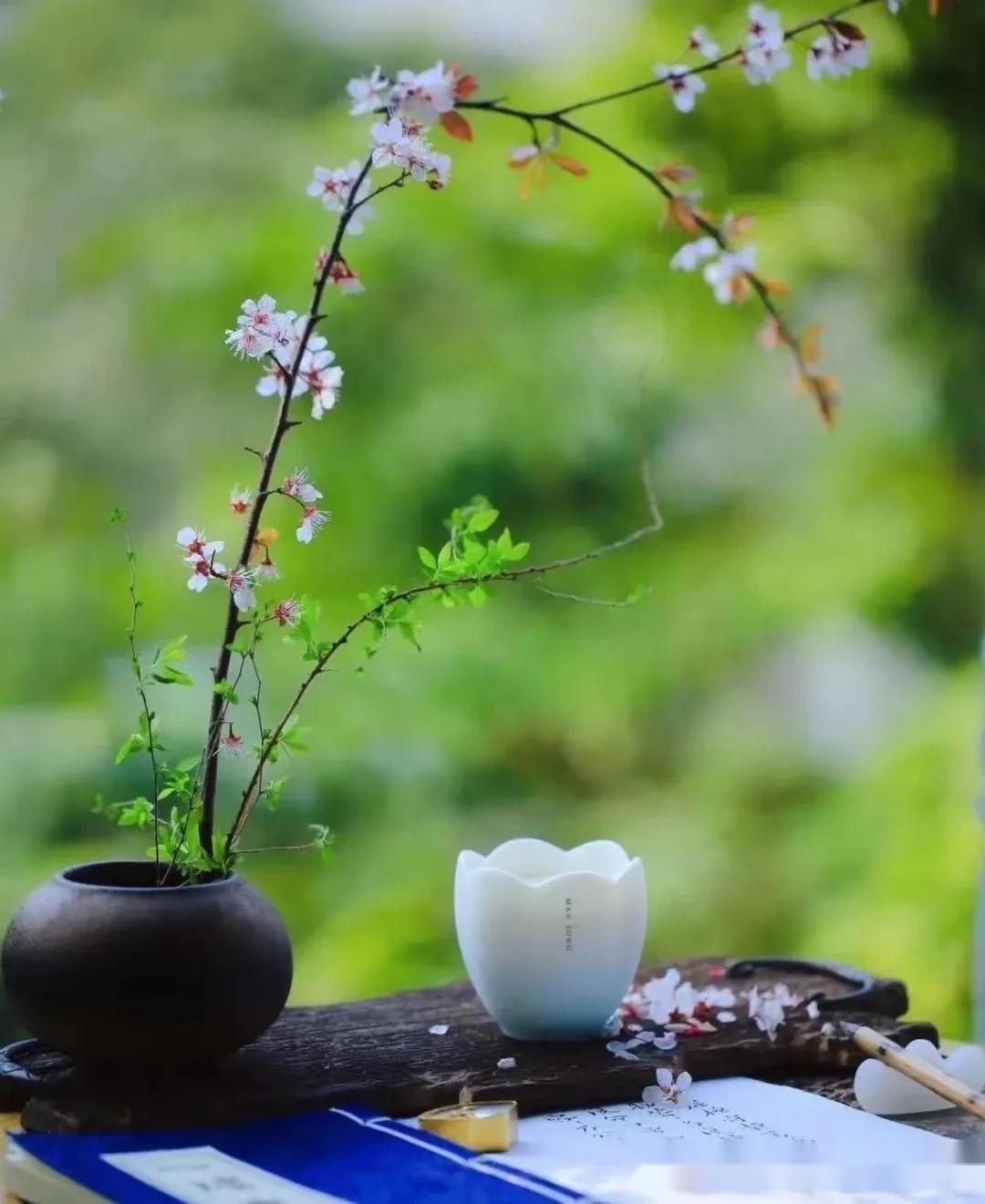 春光无限岁月静好这才是春天该有的样子