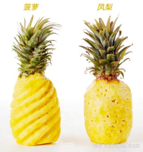 菠萝怎么削最好最快 v2-170c2d54f230e5955745531d813024bc_r.jpg