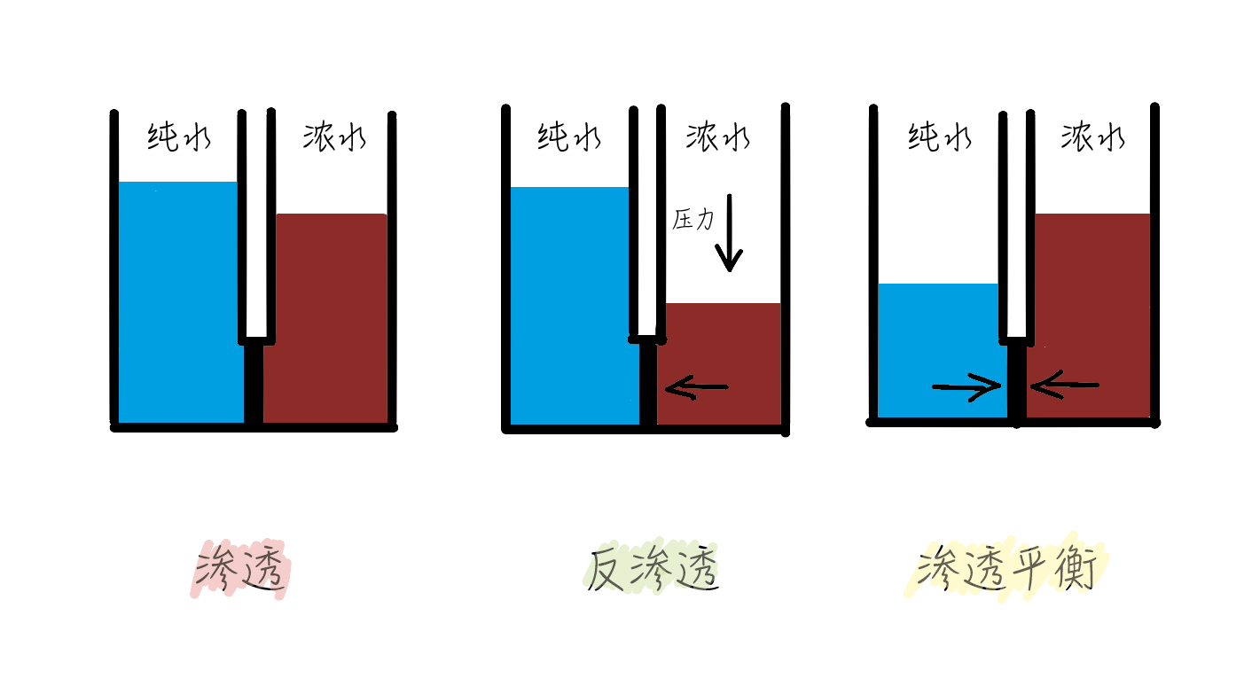 v2-1718d05eb195737d25416c45e01057e0_r.jpg