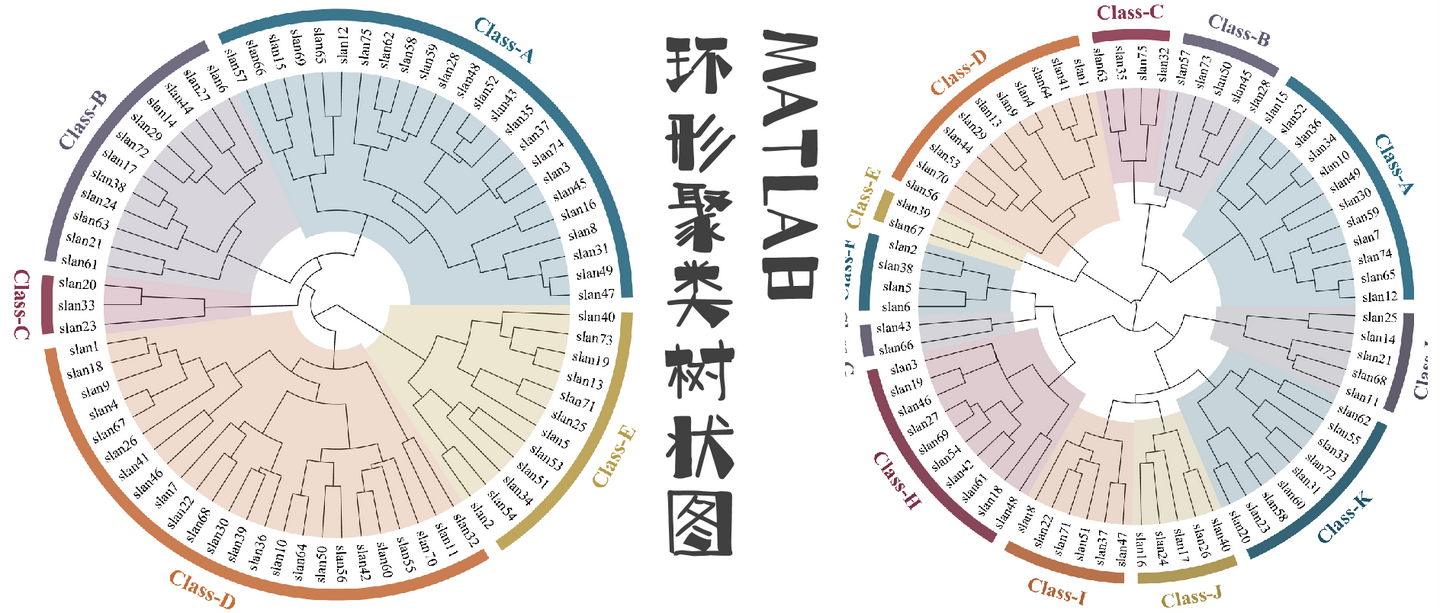 MATLAB | 绘图复刻(十五) | 环形聚类树状图 - 知乎