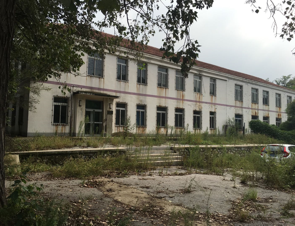 真实的精神病院是什么样的?