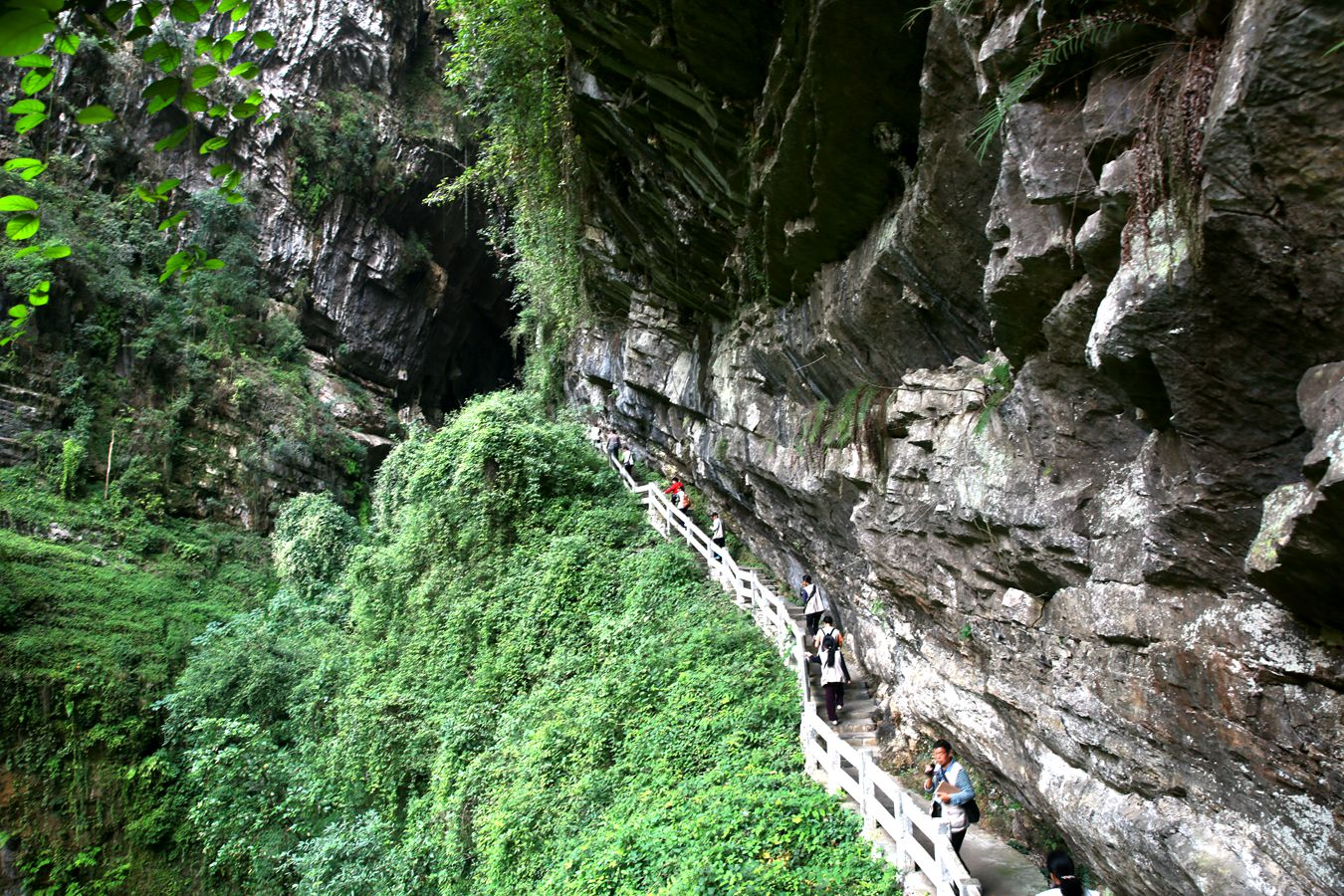 重慶熱門旅遊景點龍水峽地縫旅遊攻略低音號導遊