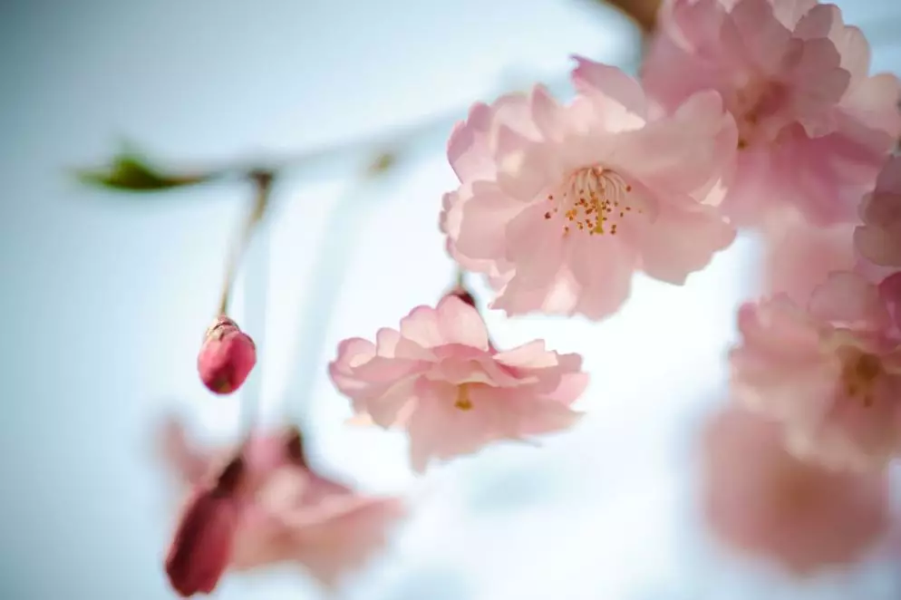 早鸟价 9元 风靡上海的夜徒活动即将来啦 知乎