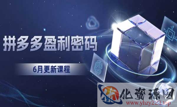 拼多多盈利密码_wwz