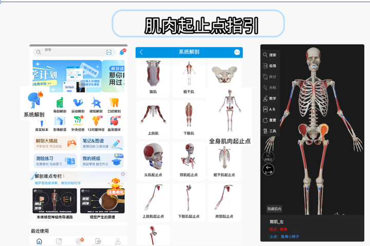 维萨里3D解剖操作指南：轻松学习解剖实操技巧 - 知乎