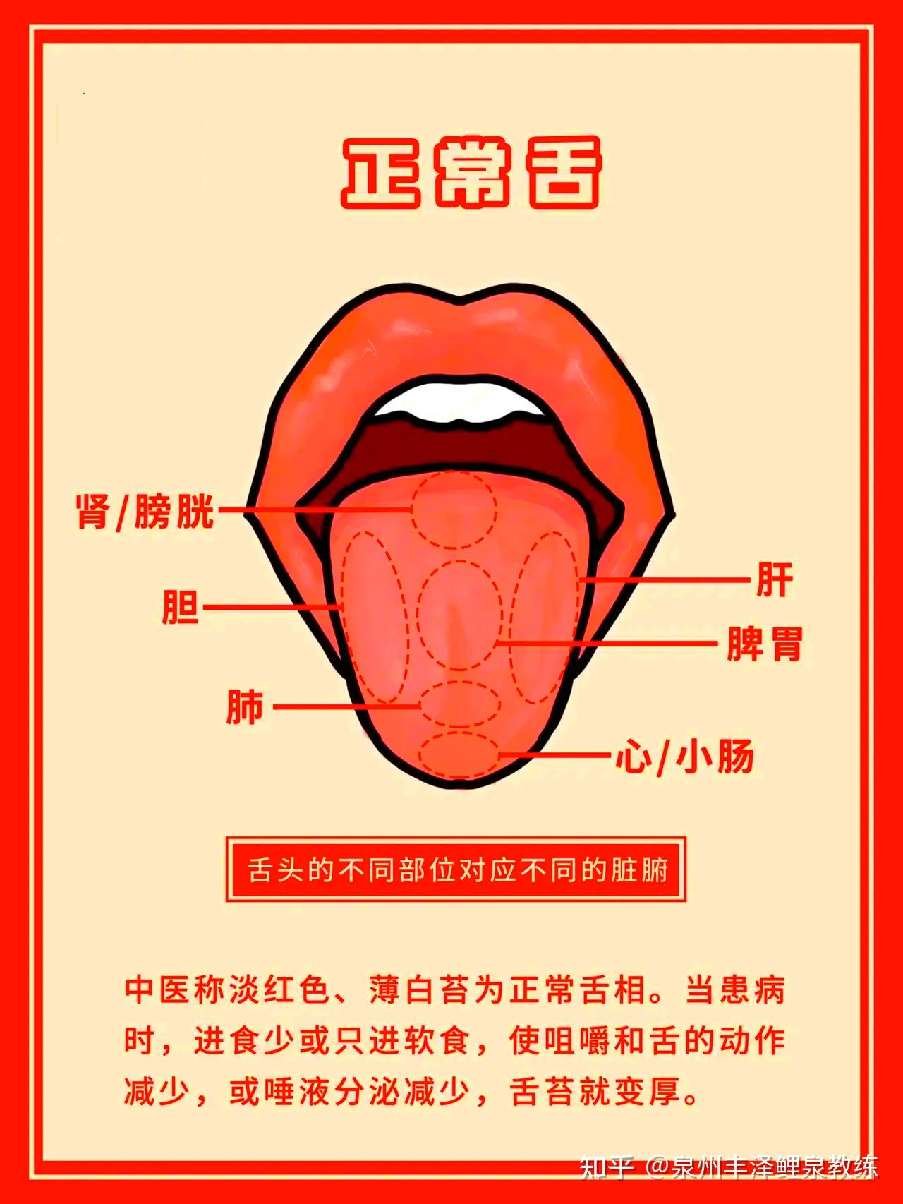 抖音舌诊哥：舌诊知健康，教你学会看舌象系列四十八 - 知乎