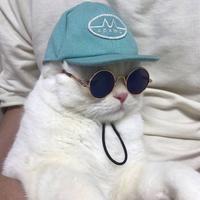 Zhihu profile picture for @bars