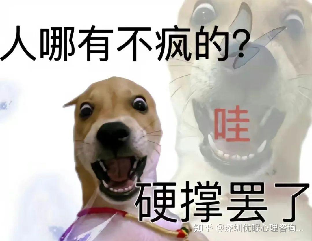拒绝内耗，直接发疯丨走红的“发疯文学”发的到底是什么“疯”？ - 知乎
