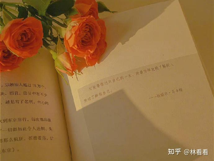 一生中最高兴的一天 - 知乎